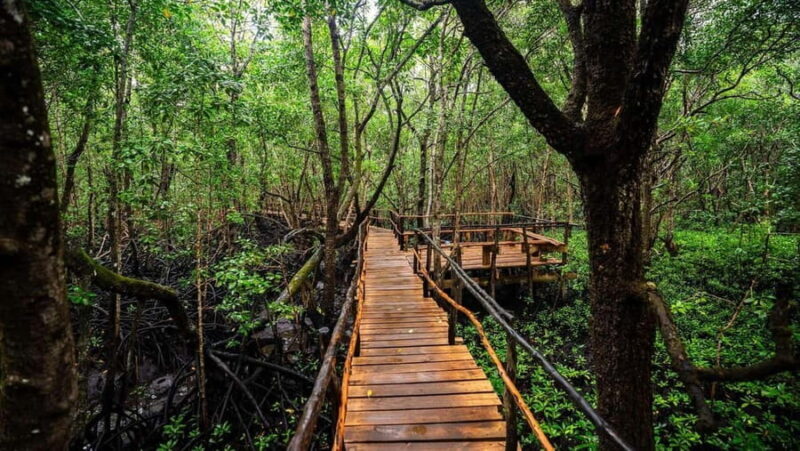 Zanzibar: Jozani Forest, Stone Town, and Nakupenda Tour - Who Would Enjoy This Tour Most?