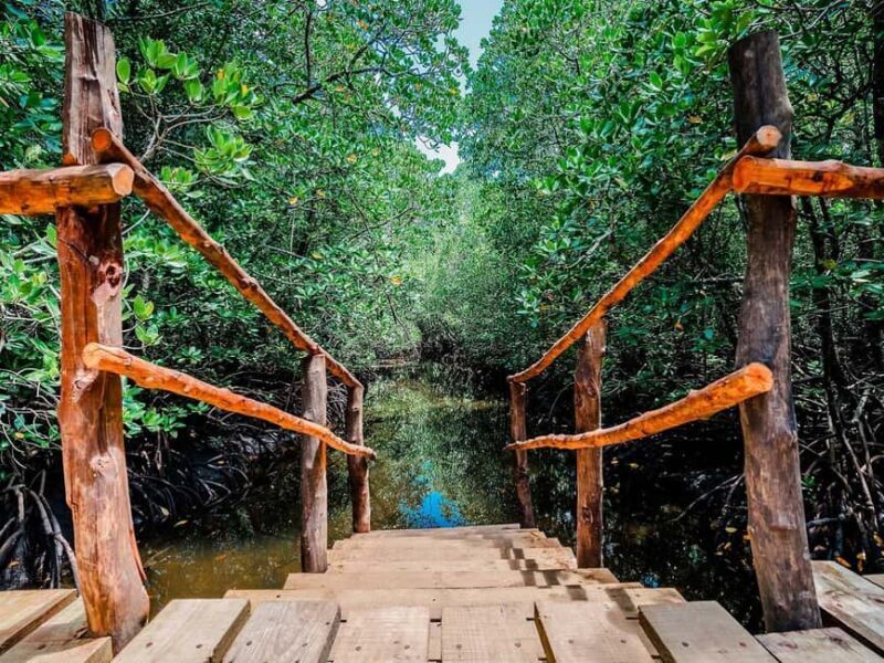 Zanzibar: Jozani Forest, Stone Town and Spice Farm Tour - Who Should Consider This Tour?