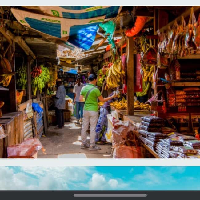 Zanzibar: Jozani forest, stone town tour & Prison island - Key Points