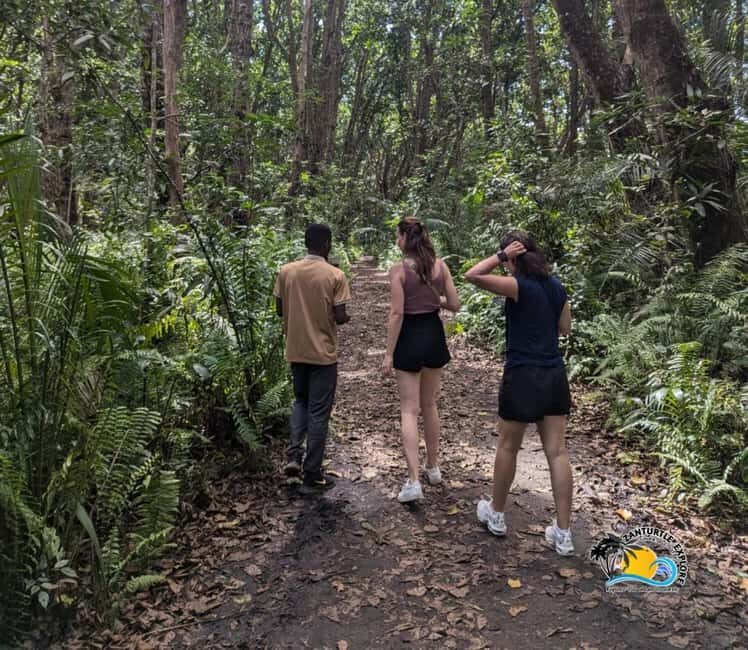 Zanzibar: Jozani Forest Tour and The Rock Restaurant - Who Should Consider This Tour?