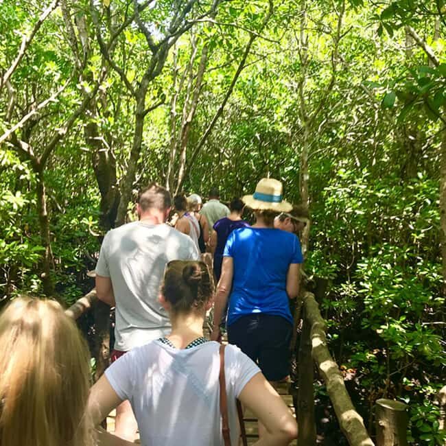 Zanzibar: Jozani Forest Tour - The Sum Up