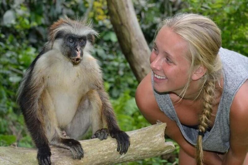 Zanzibar: Jozani Forest Watching Monkeys Half-Day Tour - Zanzibar: Jozani Forest Watching Monkeys Half-Day Tour Review