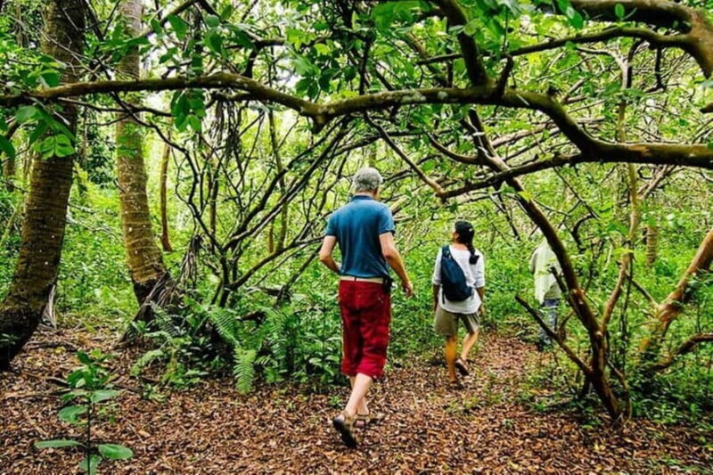 Zanzibar: Jozani Forest Watching Monkeys Half-Day Tour - FAQs