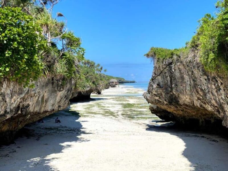 Zanzibar: Jozani Forest,Butterfly center and mtende beach - The Sum Up