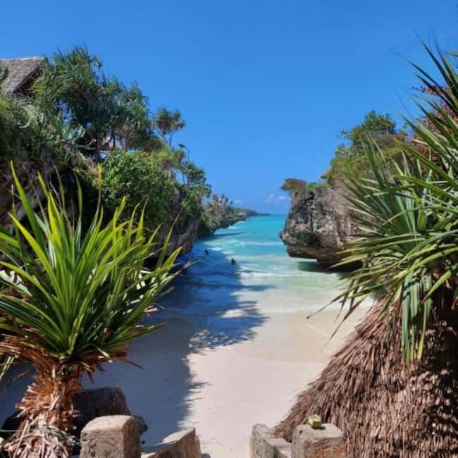 Zanzibar: Jozani Forest,butterfly center & Mtende beach tour - Relaxing at Mtende Beach: Scenic Coastline and Serene Waters