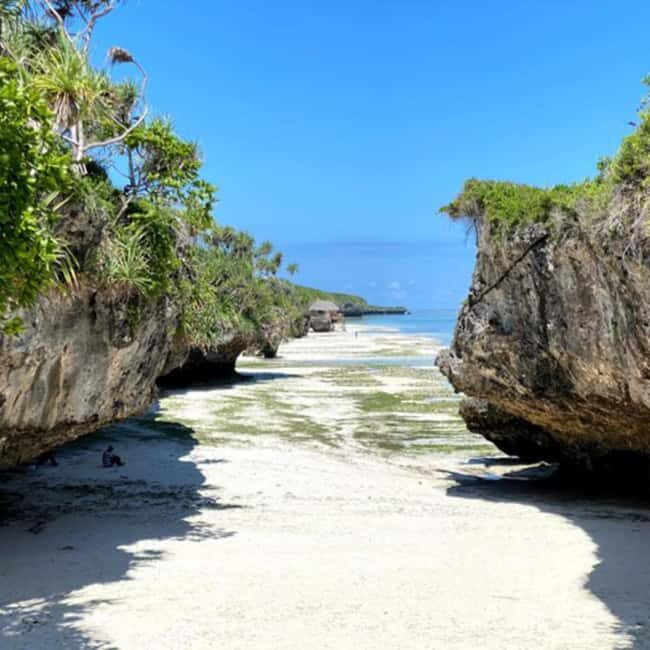 Zanzibar: Jozani Forest,butterfly center & Mtende beach tour - Authentic Perspectives from Visitors