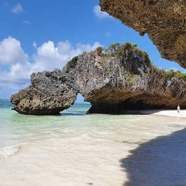 Zanzibar: Jozani Forest,butterfly center & Mtende beach tour - Final Thoughts: Who Should Consider This Tour?