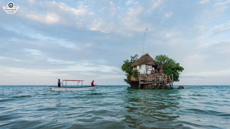 Zanzibar: Jozani Forest,Red colobus,the Rock Restaurant tour - An In-Depth Look at the Tour Experience