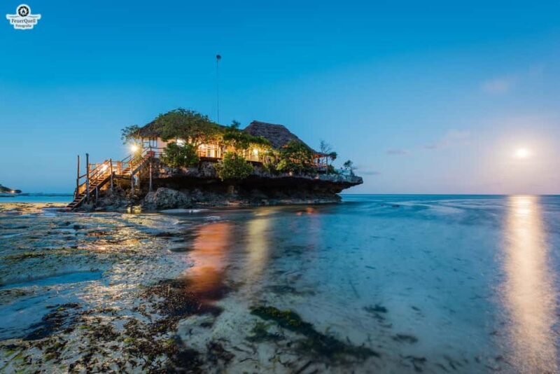 Zanzibar: Jozani Forest,Red colobus,the Rock Restaurant tour - Practical Details and Considerations