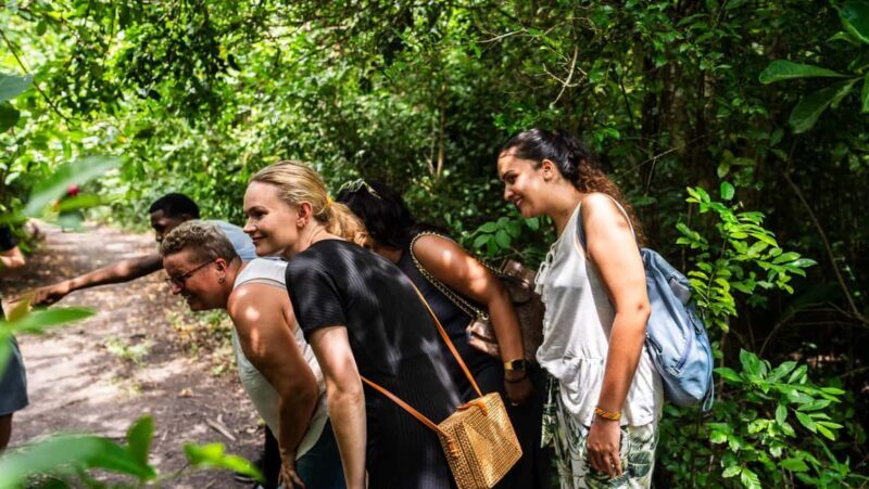 Zanzibar: Jozani Forest,Red colobus,the Rock Restaurant tour - Frequently Asked Questions