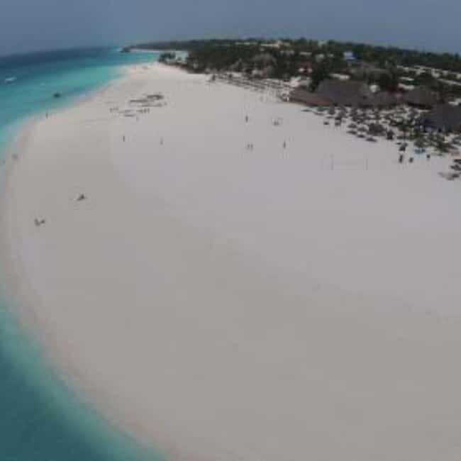 ZANZIBAR: Jozani Forest,Salaam Cave, The Rock & Blue Lagoon - A Deep Dive into the Zanzibar Day Tour