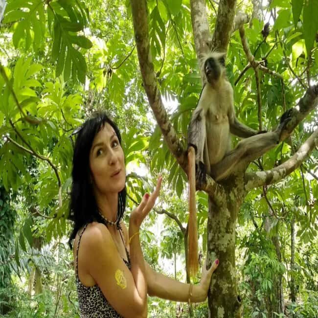 ZANZIBAR: Jozani Forest,Salaam Cave, The Rock & Blue Lagoon - FAQs