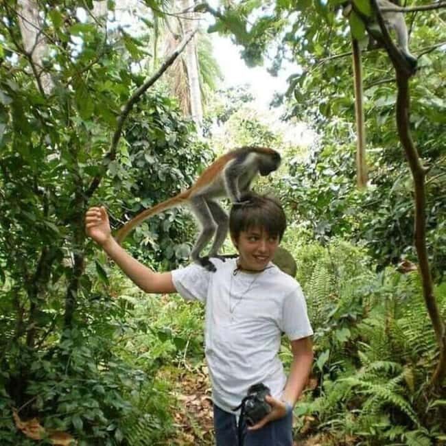 Zanzibar: Jozani Monkeys, Butterfly Garden & Reptile Park - Exploring Zanzibar’s Natural Wonders: What to Expect