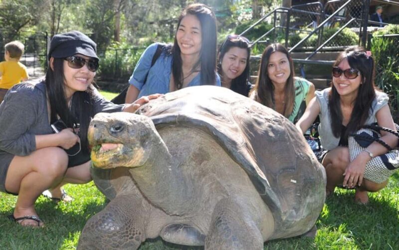 Zanzibar: Jozani Monkeys, Butterfly Garden & Reptile Park - Who Will Love This Tour?