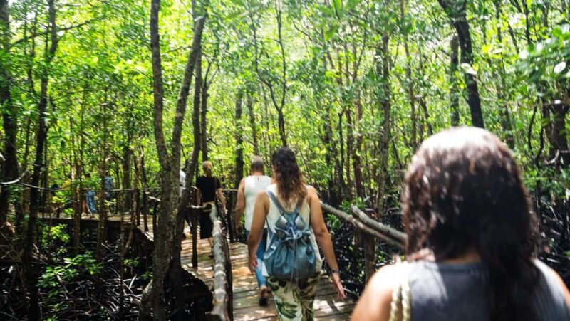 Zanzibar: Jozani Red Colobos Monkey & Salaam Turtle Santuary - Exploring Jozani Forest: Zanzibar’s Natural Marvel