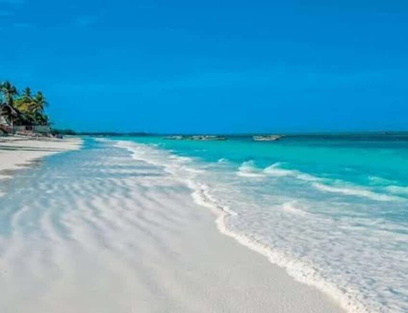 Zanzibar: Kiwengwa Forest and Beach Tour - Key Points