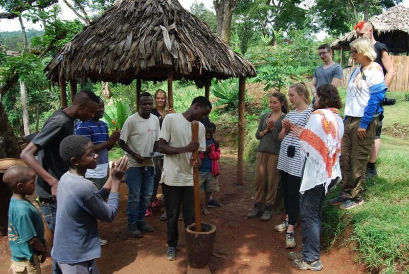 Zanzibar: Kiwengwa Forest and Caves Day Trip - Key Points  