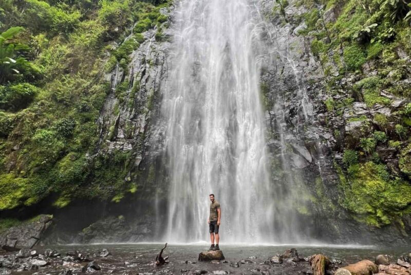 Zanzibar: Kiwengwa Forest and Caves Day Trip - Exploring the Details of the Kiwengwa Forest & Caves Tour