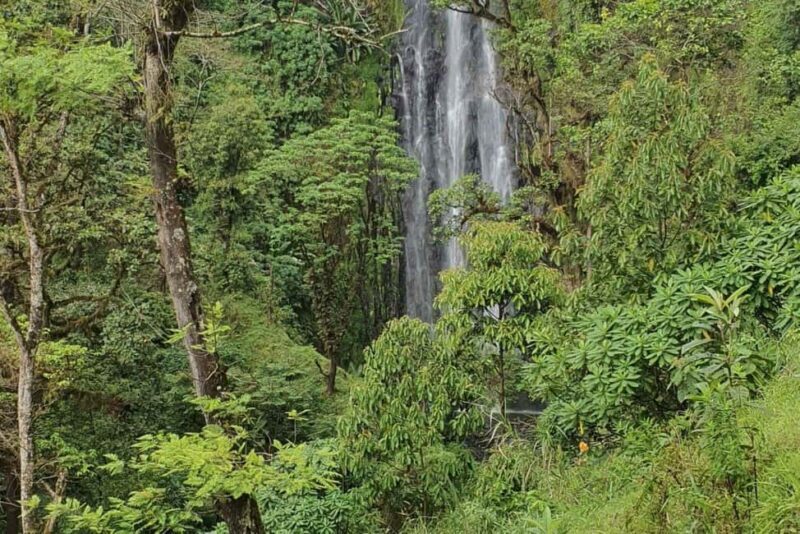 Zanzibar: Kiwengwa Forest and Caves Day Trip - FAQs