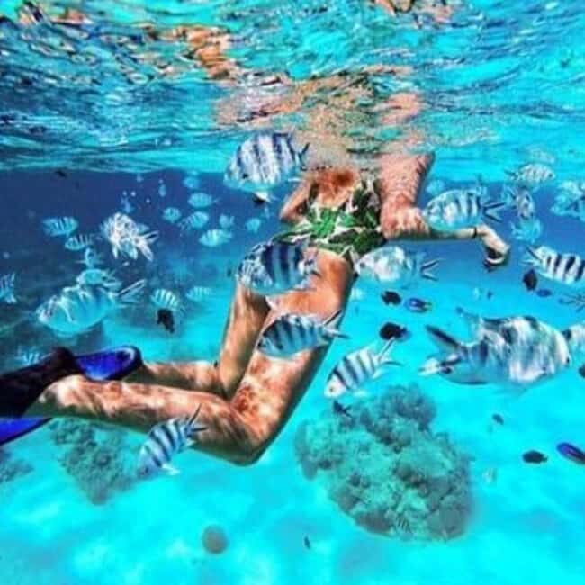 Zanzibar: Kiwengwa Reef Snorkeling and Sailing Tour - Key Points