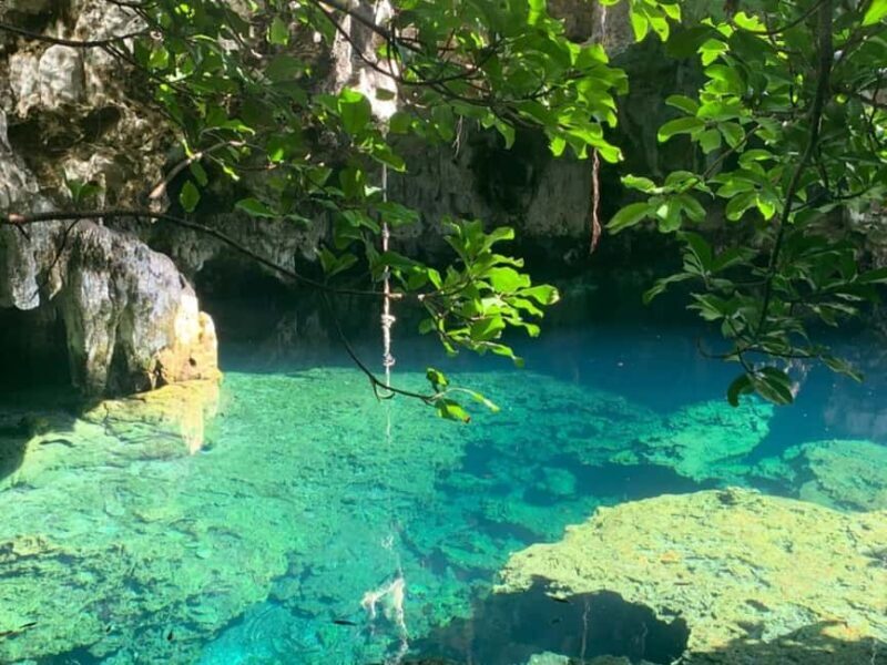 Zanzibar: Maalum cave half day tour - Key Points