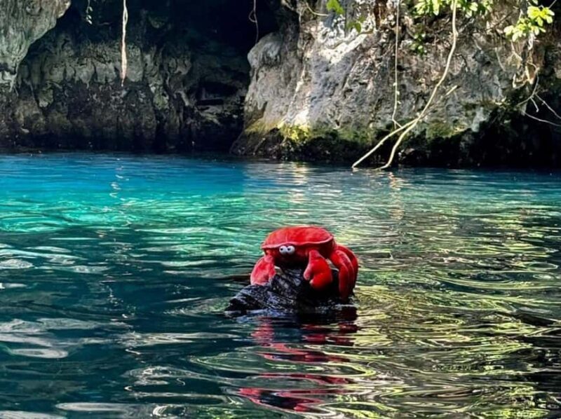 Zanzibar: Maalum cave half day tour - Exploring the Surroundings