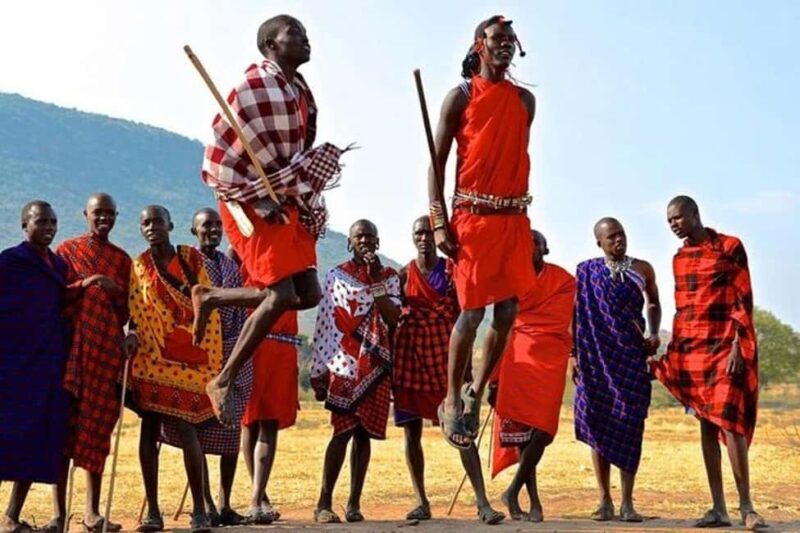 Zanzibar: Maasai Market Tour with Local Guide - Who Is This Tour Best For?
