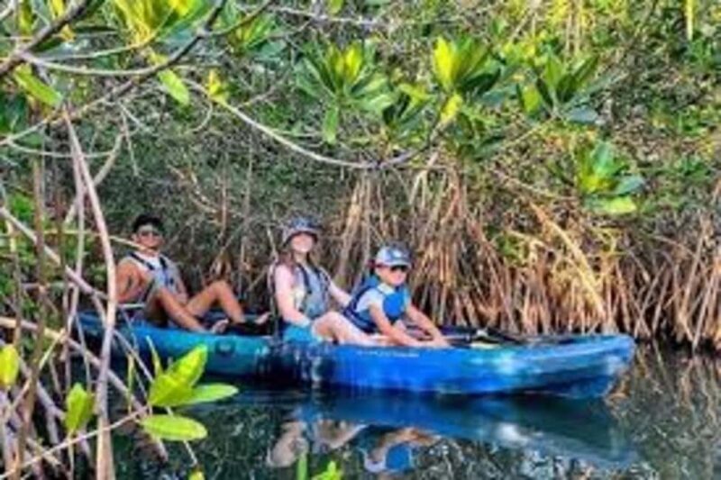 Zanzibar: Mangrove Forest Kayaking Tour & Paje Beach Visit - The Sum Up: who should consider this tour?