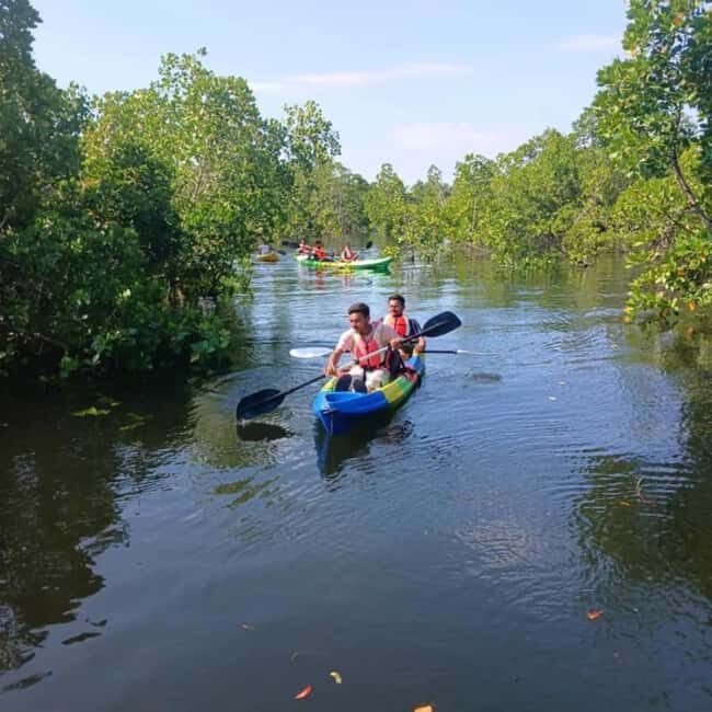 Zanzibar: Mangrove kayaking and turtle swim at Salaam Cave - Exploring Zanzibar’s Mangrove Forests by Kayak