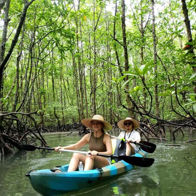 Zanzibar: Mangrove kayaking and turtle swim at Salaam Cave - Who Will Love This Tour?
