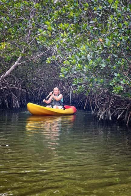 ZANZIBAR: Mangrove Kayaking Tour with Lunch - Frequently Asked Questions