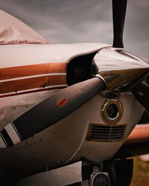 Zanzibar & Mikumi 5-Day Fly-In Safari - Key Points