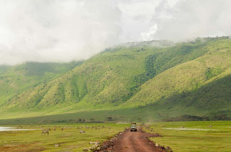 Zanzibar: Mikumi National Park 2-Day Safari with Flights - FAQ