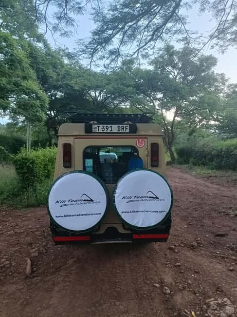 Zanzibar: Mikumi National Park Day Trip with Flights - How the Day Unfolds