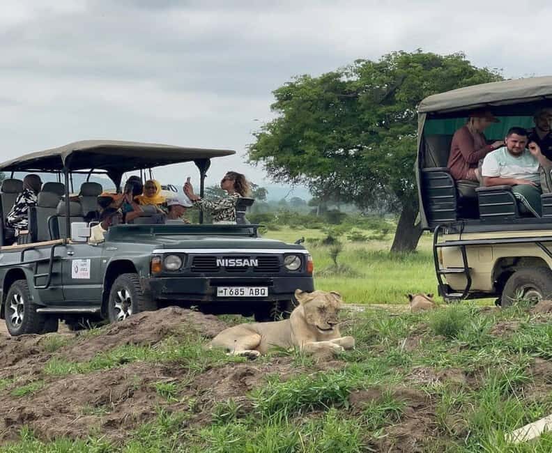 Zanzibar: Mikumi National Park Day Trip with Flights - What Makes This Tour Stand Out?