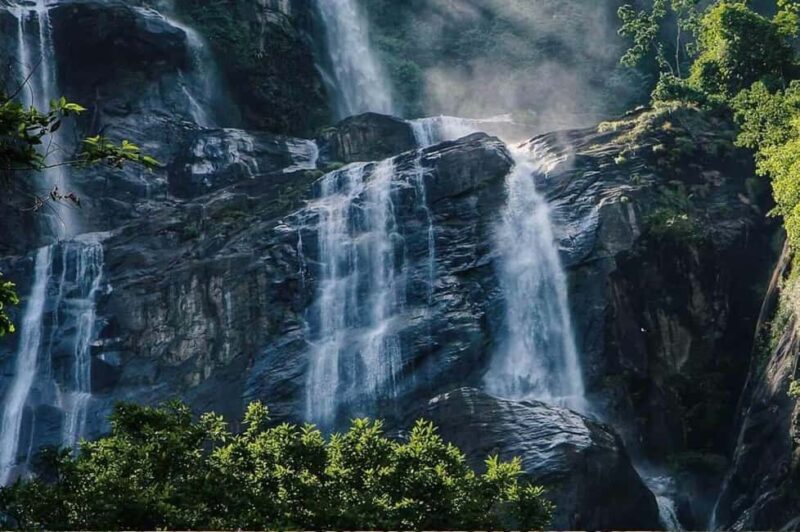Zanzibar: Mikumi Safari and Udzungwa Waterfall - What Makes This Tour Stand Out?  