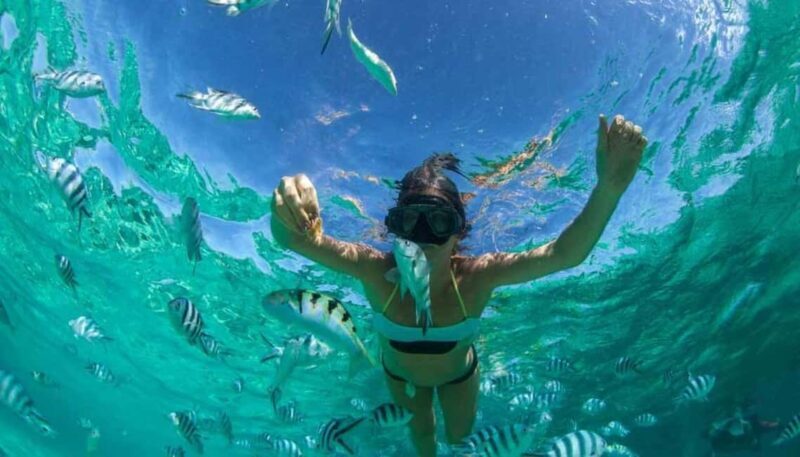 ZANZIBAR: Mnemba: African Maldives Day Tour with Lunch - FAQ