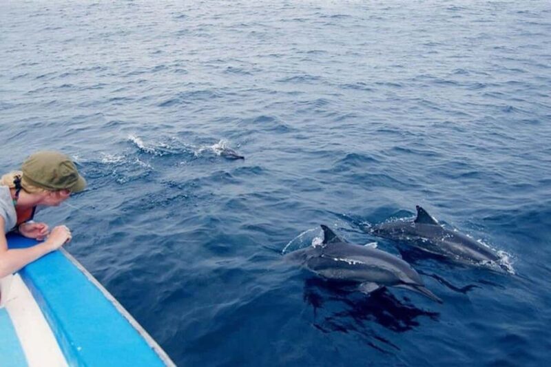 Zanzibar: Mnemba Atoll Dolphin Watching & Snorkeling Tour - Key Points