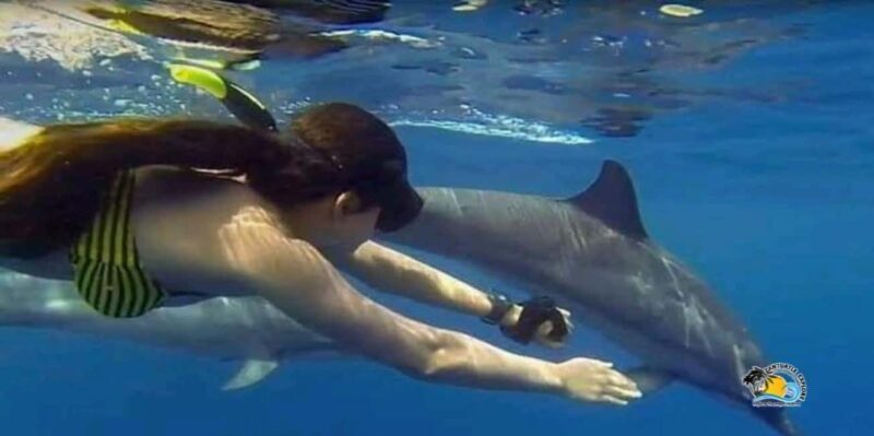 Zanzibar: Mnemba Atoll Dolphins Tour and Sunset Dhow Cruise - Exploring the Itinerary in Detail