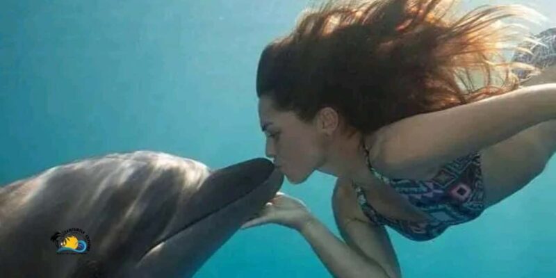 Zanzibar: Mnemba Atoll Swimming & Snorkeling with Dolphins - An In-Depth Look at the Mnemba Atoll Experience