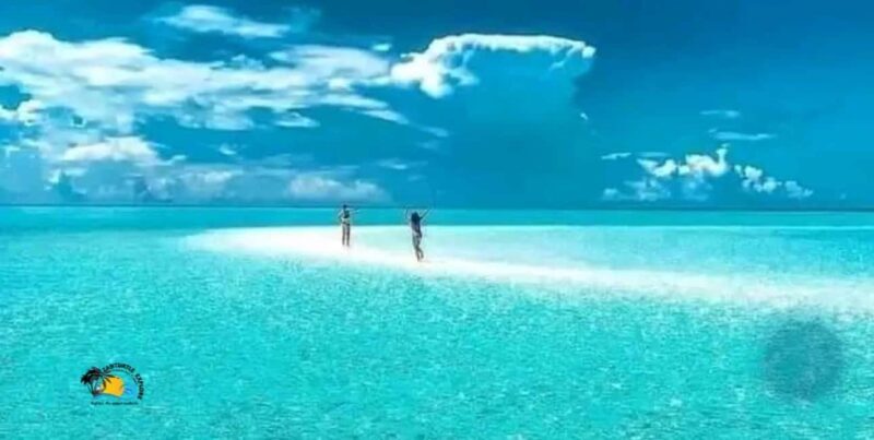 Zanzibar: Mnemba Atoll Swimming & Snorkeling with Dolphins - What Makes This Tour Stand Out?