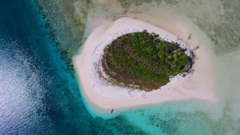 Zanzibar: Mnemba Dolphin tour at African Maldives - An Overview of the Mnemba Dolphin Tour Experience