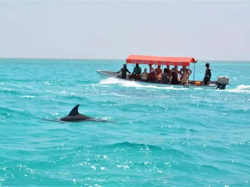 Zanzibar: Mnemba Dolphin Trip, Stone Town & Prison Island - Key Points