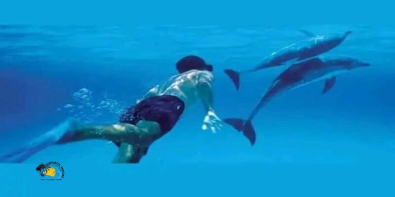Zanzibar: Mnemba Dolphins and Snorkeling Tour - Practical Tips for Making the Most of Your Tour