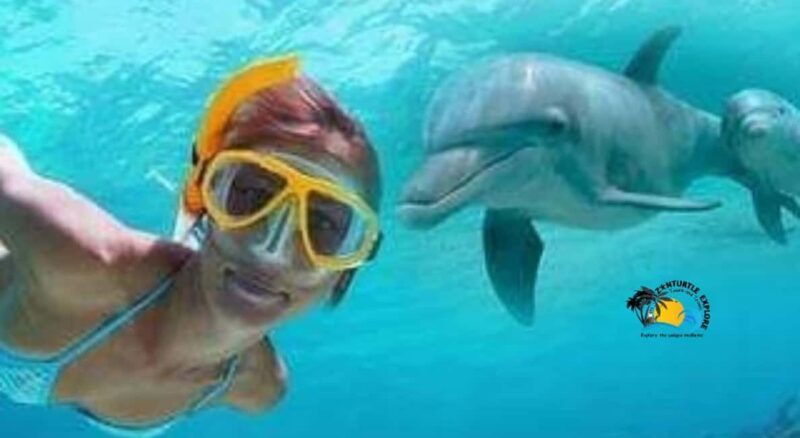 Zanzibar: Mnemba Dolphins & Sunset Dhow Cruise with Lunch - Frequently Asked Questions