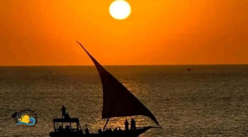 Zanzibar: Mnemba Dolphins Tour and Sunset Dhow Cruise - Marine Life and Snorkeling Tips  