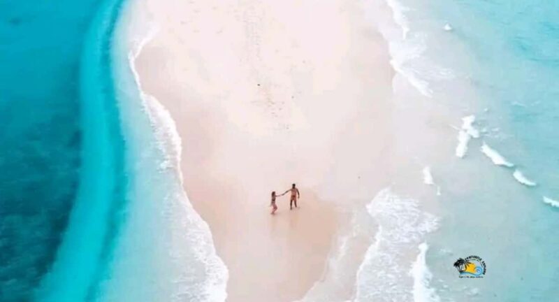 Zanzibar: Mnemba Dolphins Tour with Snorkeling and Sandbank - Key Points