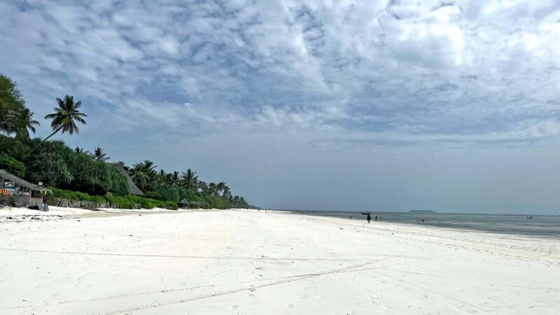 ZANZIBAR: MNEMBA ISLAND DOLPHIN AND SNORKELING - What to Expect from the Mnemba Island Dolphin and Snorkeling Tour
