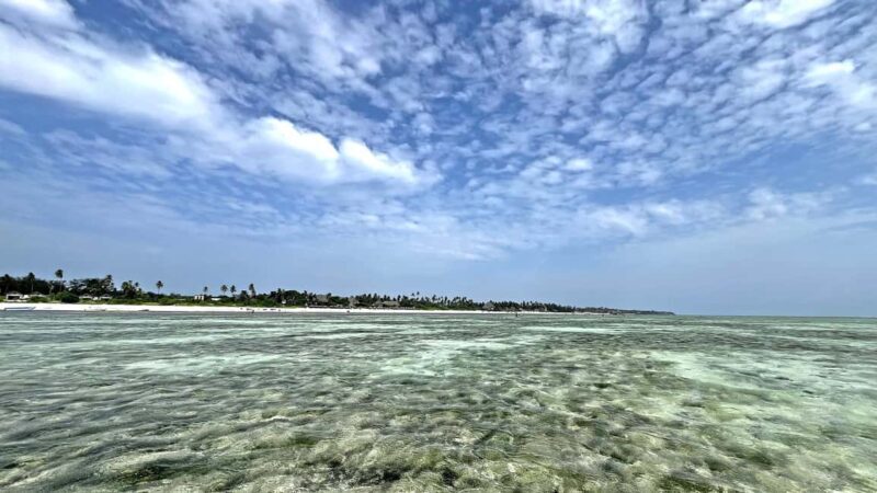 ZANZIBAR: MNEMBA ISLAND DOLPHIN AND SNORKELING - Why We Think This Tour Is Worth It