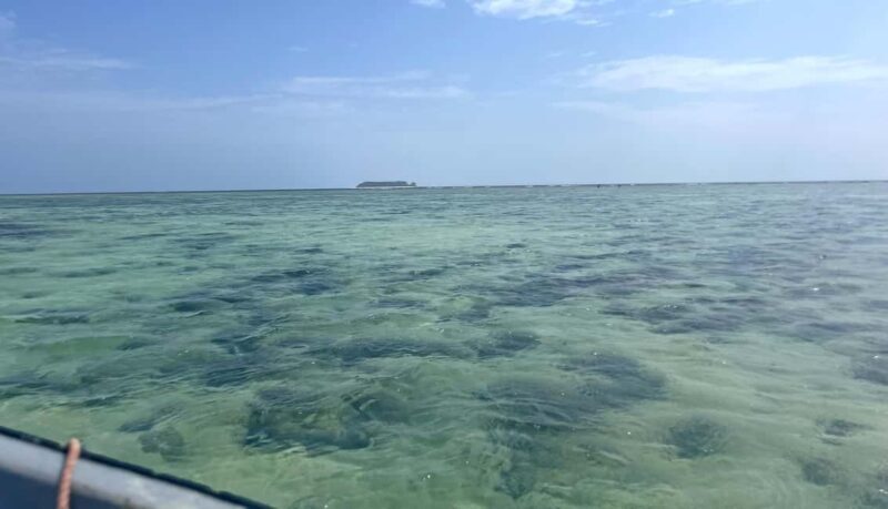 ZANZIBAR: MNEMBA ISLAND DOLPHIN AND SNORKELING - FAQ